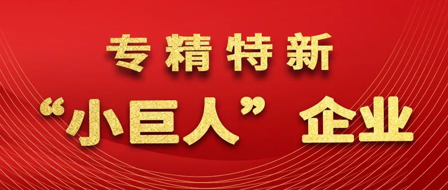 重磅│南方環境被(bèi)認定爲國(guó)家級專精特新“小巨人”企業！